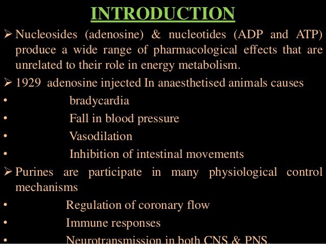 PURINES AND THE NUCLEUS TRACTUS SOLITARIUS: EFFECTS ON CARDIOVASCULAR AND RESPIRATORY FUNCTION